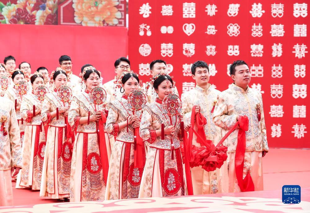 c8会员登录中心